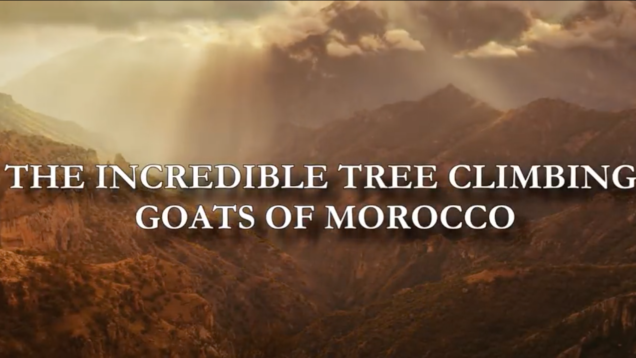 Screen Shot 2020-05-18 at 14.04.00